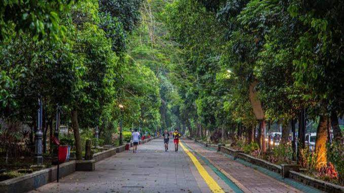 Wisata Alam di Bogor yang Sejuk, Sungguh Menenangkan Pikiran